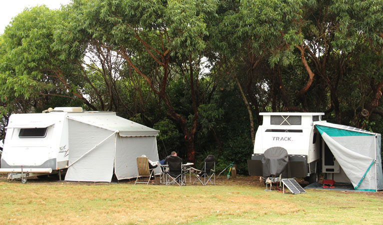 Caravans at Pretty Beach campground, Murramarang National Park. Photo: John Yurasek &copy; OEH