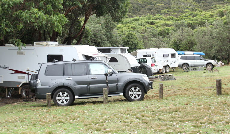 4WD and caravans in Pretty Beach campground, Murramarang National Park. Photo: John Yurasek &copy; OEH