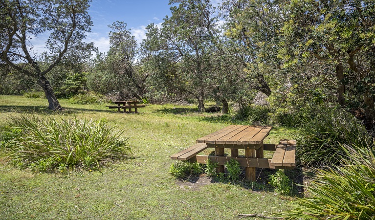 Picnic tables at Pretty Beach picnic area. Photo credit: John Spencer &copy; DPIE