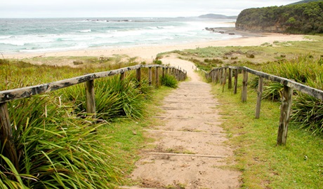 Pretty Beach to Durras Mountain Walking Track, Murramarang National Park. Photo: John Yurasek &copy; OEH