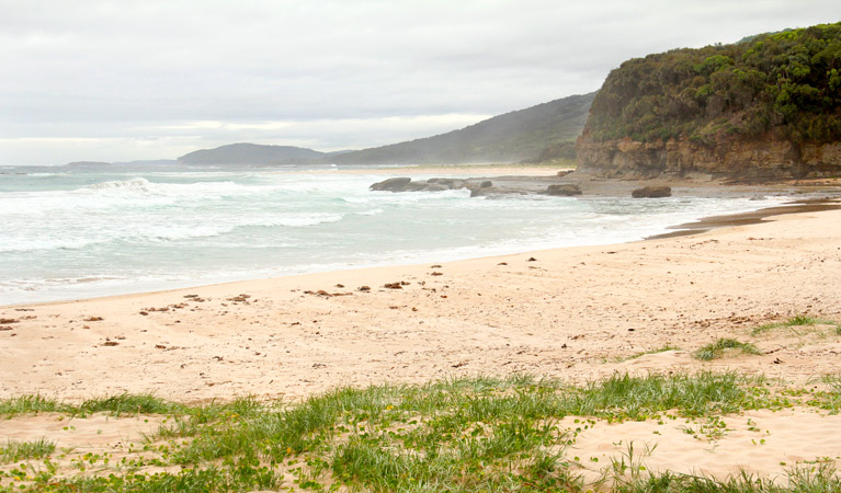 Pretty Beach to Durras Mountain Walking Track, Murramarang National Park. Photo: John Yurasek &copy; OEH