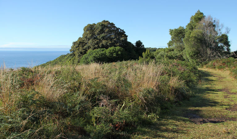 Pretty Beach to Durras Mountain Walking Track, Murramarang National Park. Photo: John Yurasek &copy; OEH