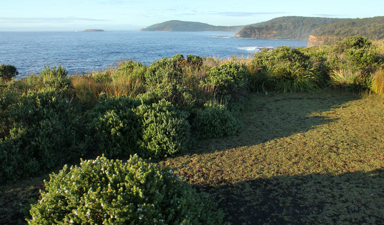 Pretty Beach to Durras Mountain Walking Track, Murramarang National Park. Photo: John Yurasek &copy; OEH