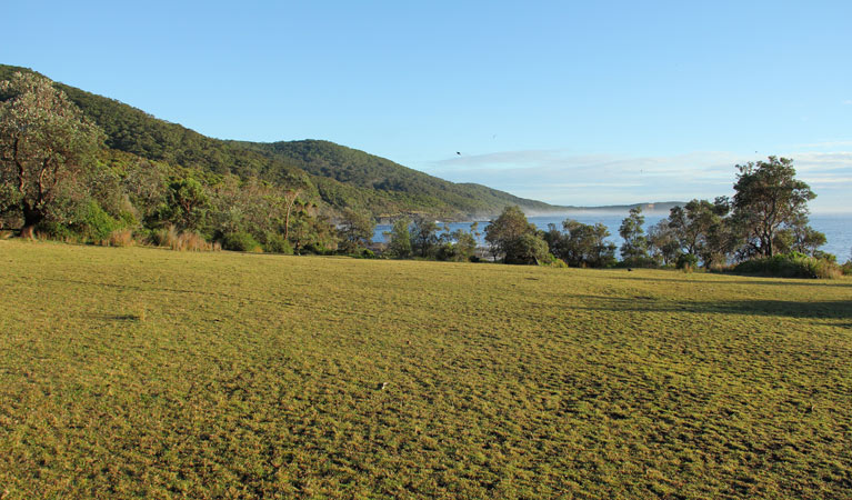 Pretty Beach to Durras Mountain walking track, Murramarang National Park. Photo: John Yurasek &copy; OEH