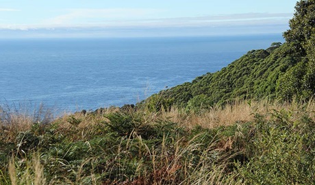 Ocean views from Durras Mountain, Murramarang National Park. Photo: John Yurasek &copy; OEH