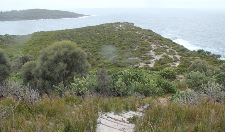 Pretty Beach to Snapper Point Walking Track, Murramarang National Park. Photo: John Yurasek &copy; OEH