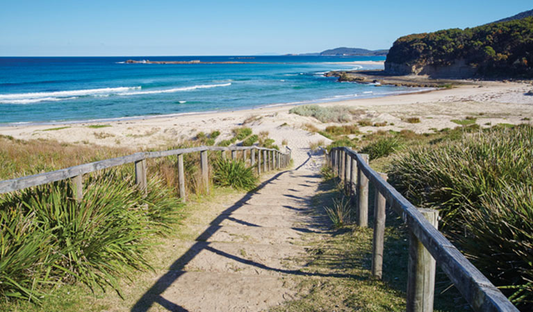 Pretty Beach, Murramarang National Park. Photo: N Cubbin