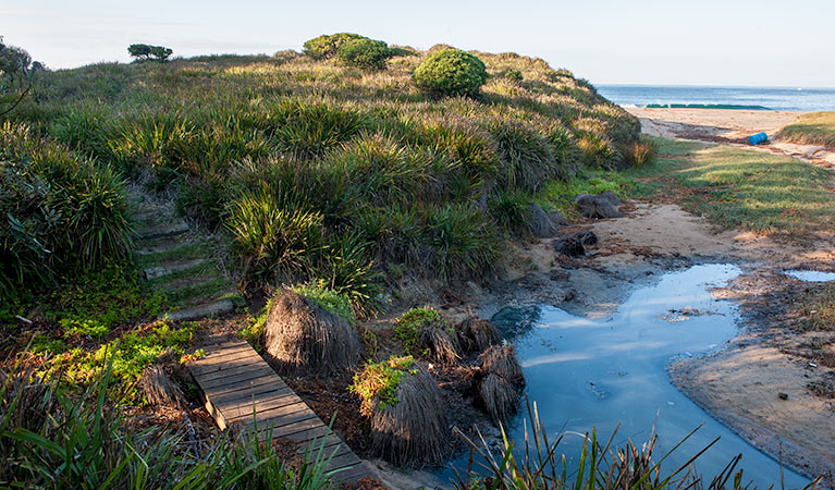 Richmond Beach, Murramarang National Park. Photo: Michael Van Ewijk