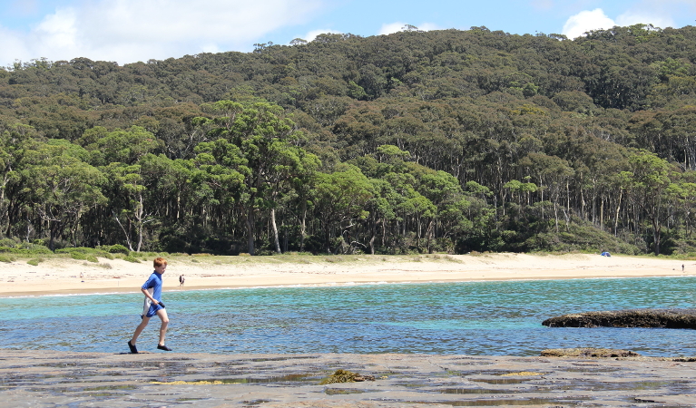 Child exploring the rock platform near Depot Beach. Photo: John Yurasek &copy; OEH