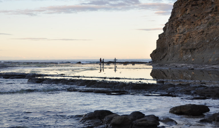 People on the Rock Platform walk, Depot Beach. Photo: Beth Boughton