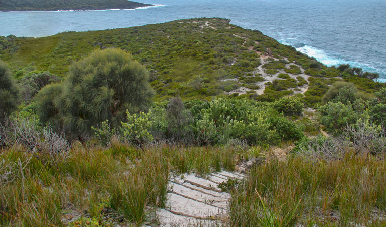 Snapper Point lookout, Murramarang National Park. Photo: John Yurasek &copy; OEH