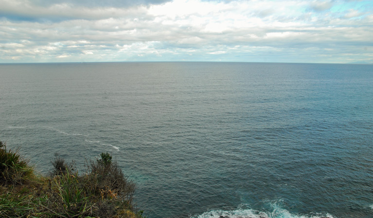 Snapper Point lookout, Murramarang National Park. Photo &copy; Michael Jarman