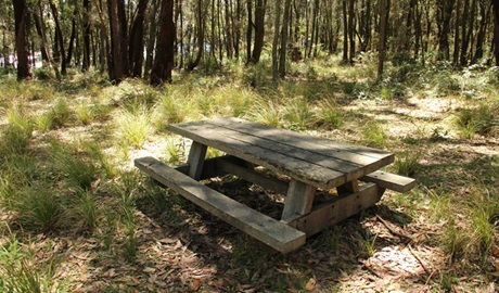 Wasp Head Picnic Area, Murramurang National Park. Photo: John Yurasek/NSW Government