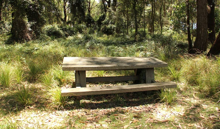 Wasp Head Picnic Area, Murramurang National Park. Photo: John Yurasek/NSW Government