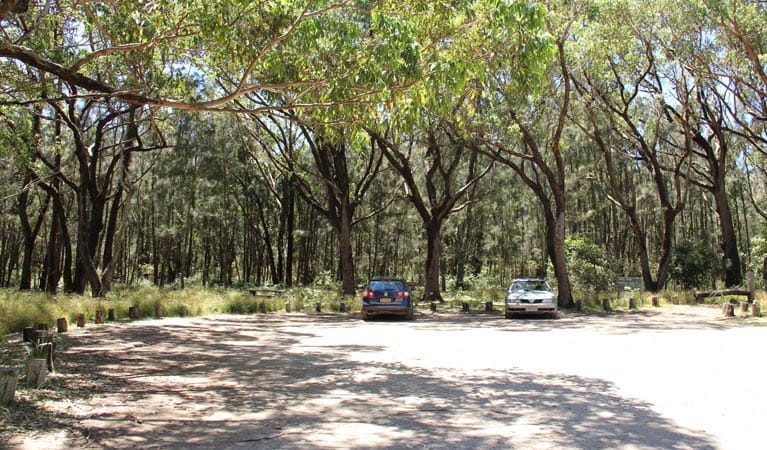 Wasp Head Picnic Area, Murramurang National Park. Photo: John Yurasek/NSW Government
