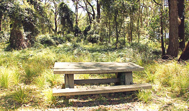 Wasp Head Walking Track, Murramarang National Park. Photo: John Yurasek &copy; OEH