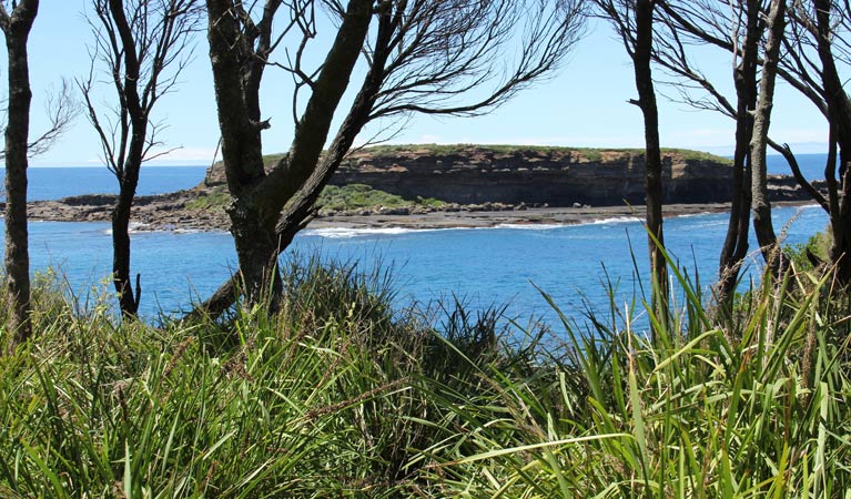 View across to the water from Wasp Head walk. Photo: John Yurasek &copy; OEH