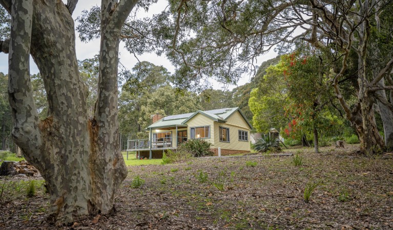 The exterior of Yellow Rock Beach House as seen through the surrounding spotted gums in Murramarang National Park. Photo: John Spencer &copy; DPIE