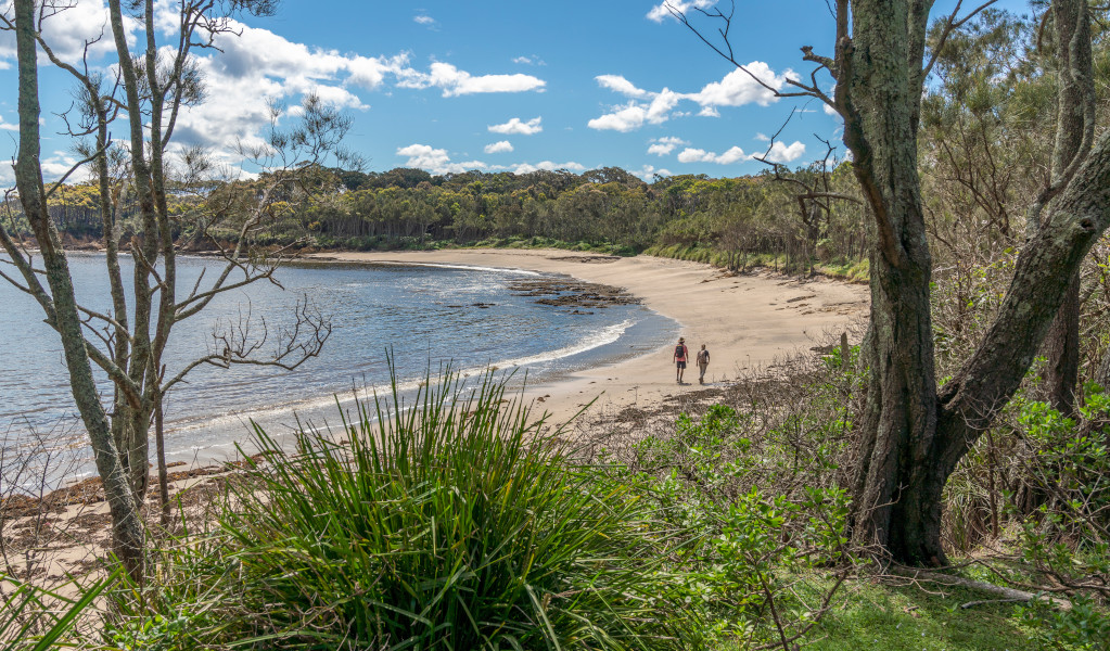 People walking on Yellow Rock Beach in Murramarang National Park. Credit: John Spencer &copy;DPE