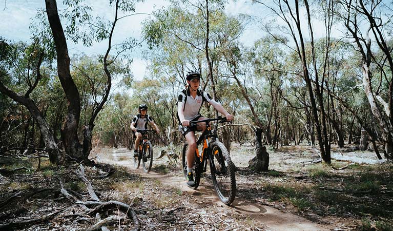 murray valley mtb trails