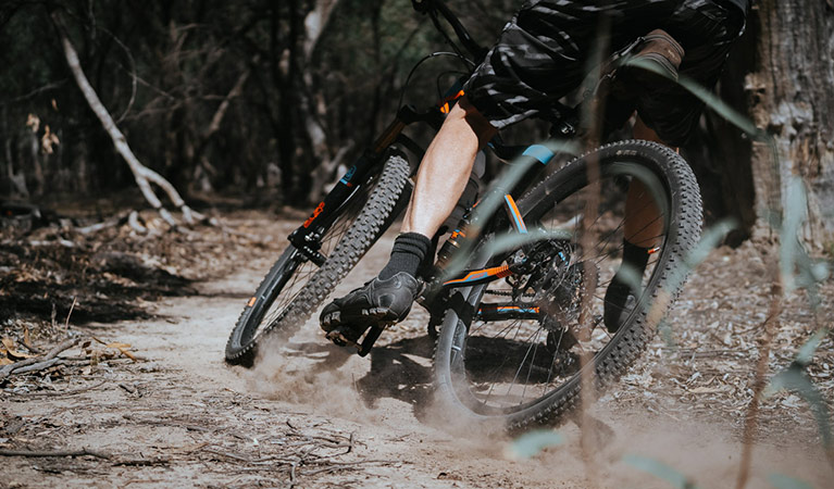 Close-up view of mountain bike rider and bike wheels on dirt bend of Deniliquin mountain bike trails, Murray Valley Regional Park. Photo: Ain Raadik/Edward River Council.