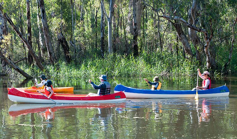 Edward River canoe and kayak trail, Murray Valley National Park. Photo: David Finnegan