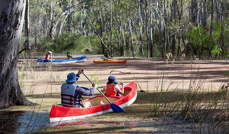 Edward River canoe and kayak trail, Murray Valley National Park. Photo: David Finnegan