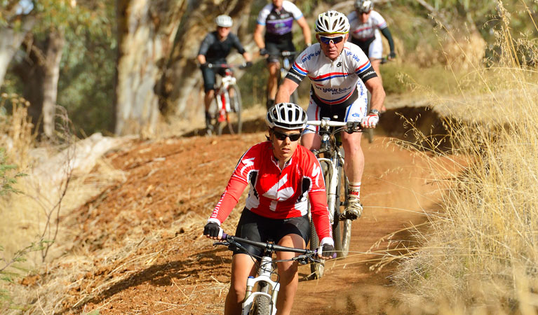 Five Mile mountain bike trail, Murray Valley National Park. Photo: Gavin Hansford