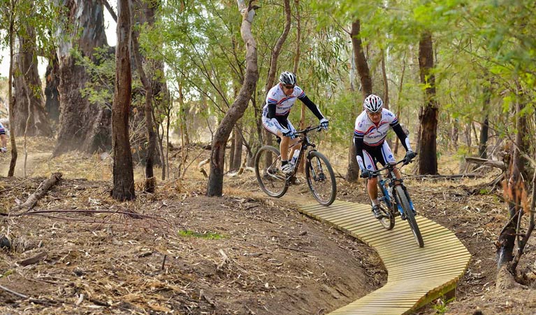 Five Mile mountain bike trail, Murray Valley National Park. Photo: Gavin Hansford