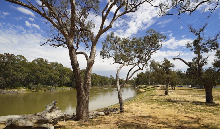 Five Mile picnic area, on the banks of the Murray River in Murray Valley Regional Park. Photo: Gavin Hansford &copy; DPIE