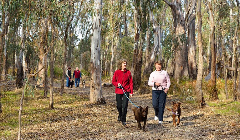 Gulpa Creek Forest walks, Murray Valley Regional Park. Photo: Gavin Hansford &copy; OEH