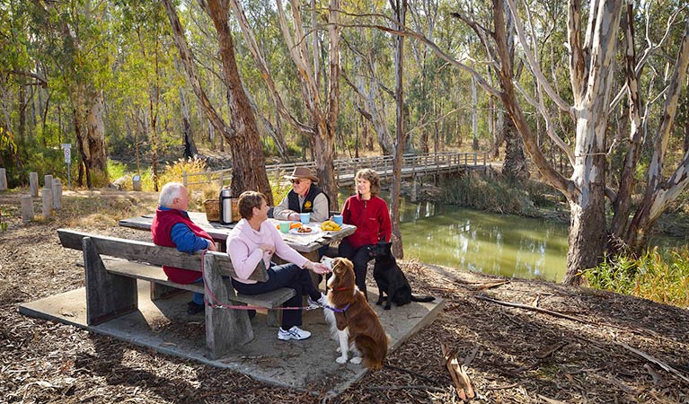 Gulpa Creek Forest walks, Murray Valley Regional Park. Photo: Gavin Hansford &copy; OEH