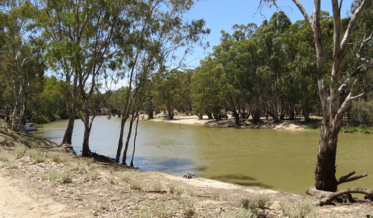 View from Kolety walking tracks across Edward River to Willoughbys Beach campground, Murray Valley Regional Park. Photo: Amanda Hipwell &copy; DPIE