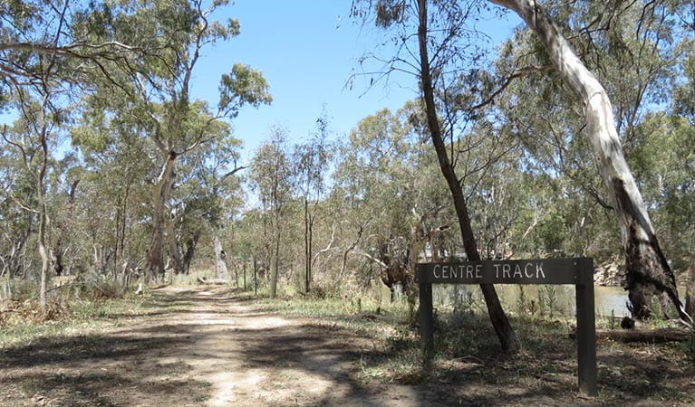 Timber sign on Centre track, through woodland in Murray Valley Regional Park. Photo: Amanda Hipwell &copy; DPIE