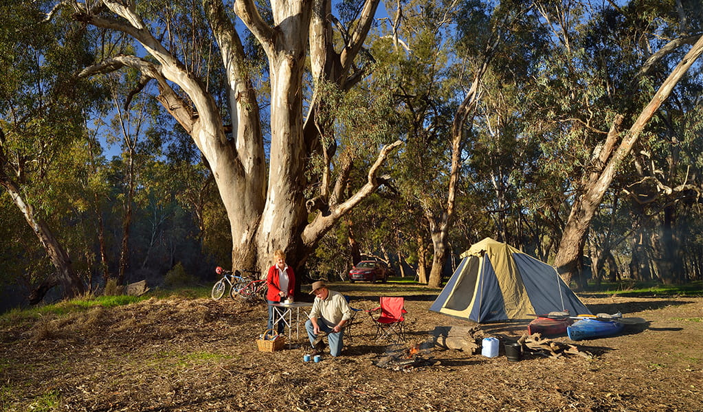 A group of campers sitting next to their tent at Millewa campgrounds in Murray Valley National Park. Photo: Gavin Hansford &copy; OEH