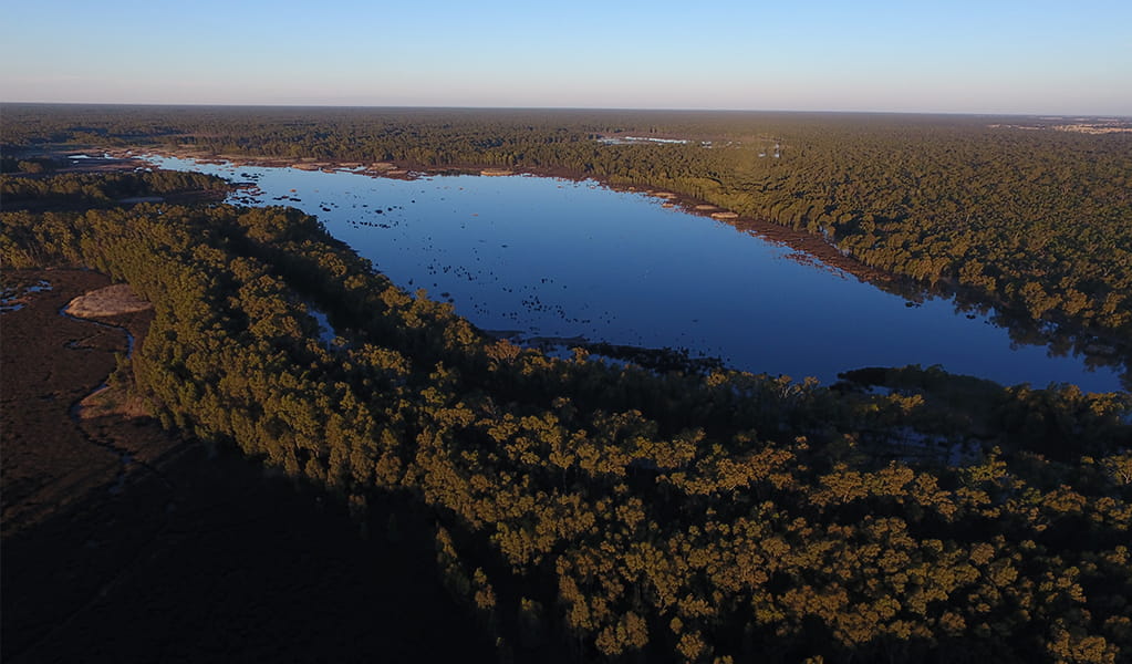 Aerial shot of Moira Lake in Murray Valley Regional Park. Photo: Vince Bucello &copy; OEH