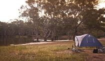 Pitched tent with creek in background at Ngawe campgrounds in Murray Valley National Park. Photo: David Finnegan &copy; DPIE
