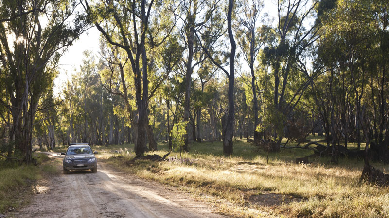 Car touring, Murray Valley National Park. Photo: David Finnegan &copy; DPIE