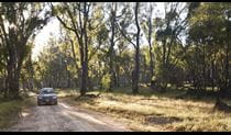 Car touring, Murray Valley National Park. Photo: David Finnegan &copy; DPIE