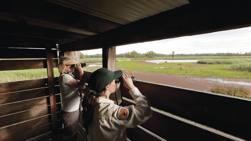 Birdwatching from Reedbeds bird hide. Photo: David Finnegan &copy; DPIE