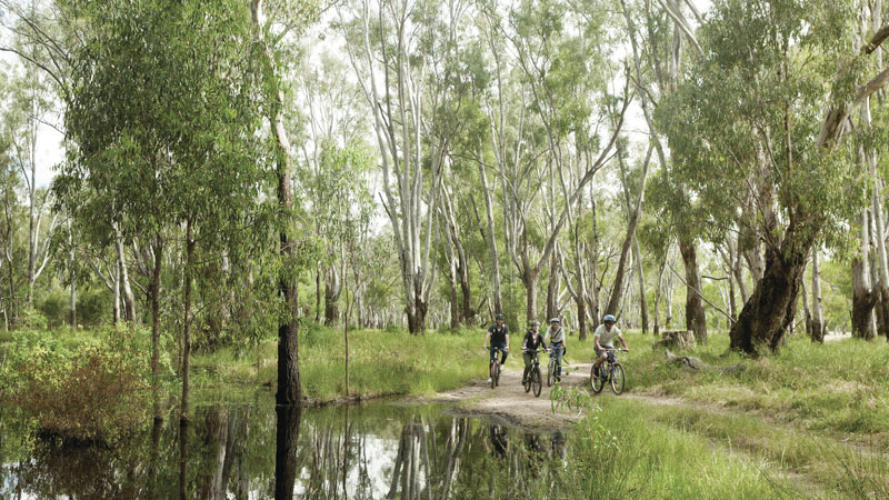 Cyclists, Murray Valley National Park. Photo: David Finnegan &copy; DPIE