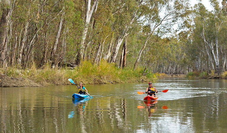 2 people paddling down the Murray River near Swifts Creek campground in Murray Valley National Park. Photo: Gavin Hansford &copy; DPIE