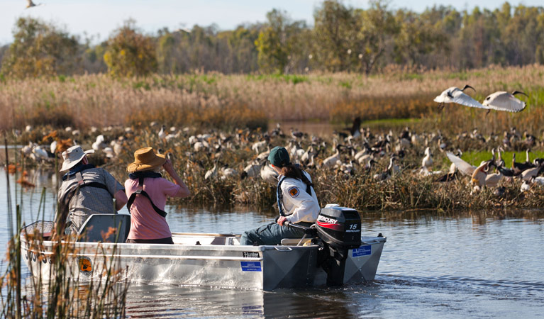 Birdwatching, Murray Valley National Park. Photo: David Finnegan &copy; OEH