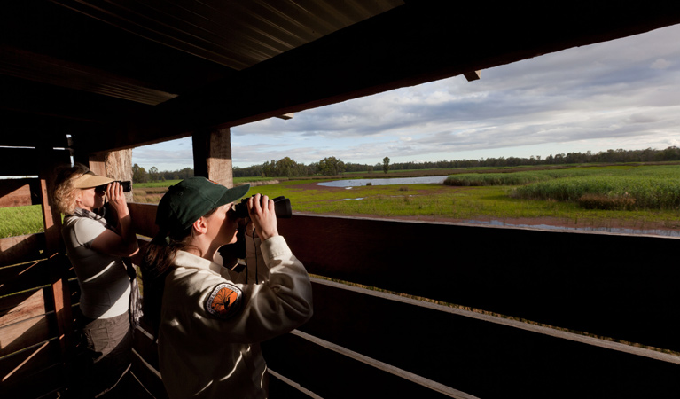 Reedbeds bird hide, Murray Valley National Park. Photo: David Finnegan &copy; OEH