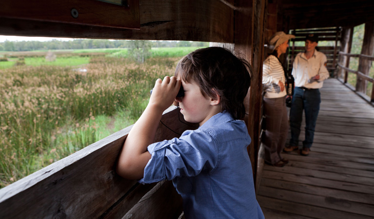 A child birdwatching from Reedbeds bird hide. Photo: David Finnegan &copy; OEH