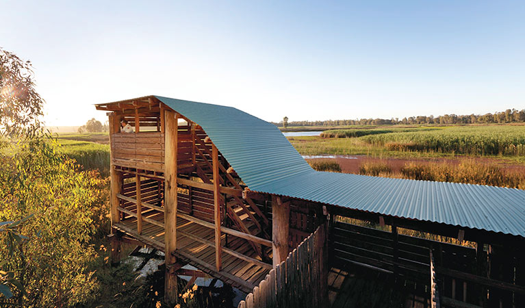 Reed Beds Bird Hide, Murray Valley National Park. Photo: David Finnegan &copy; OEH