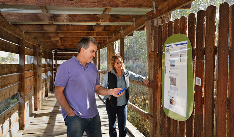 Reed Beds Bird Hide boardwalk, Murray Valley National Park. Photo: Gavin Hansford &copy; OEH