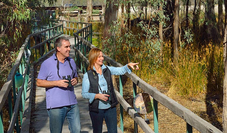 Reed Beds Bird Hide boardwalk, Murray Valley National Park. Photo: Gavin Hansford &copy; OEH