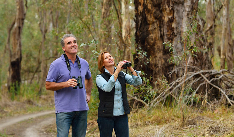 Swifts Creek campground, Murray Valley National Park. Photo: Gavin Hansford