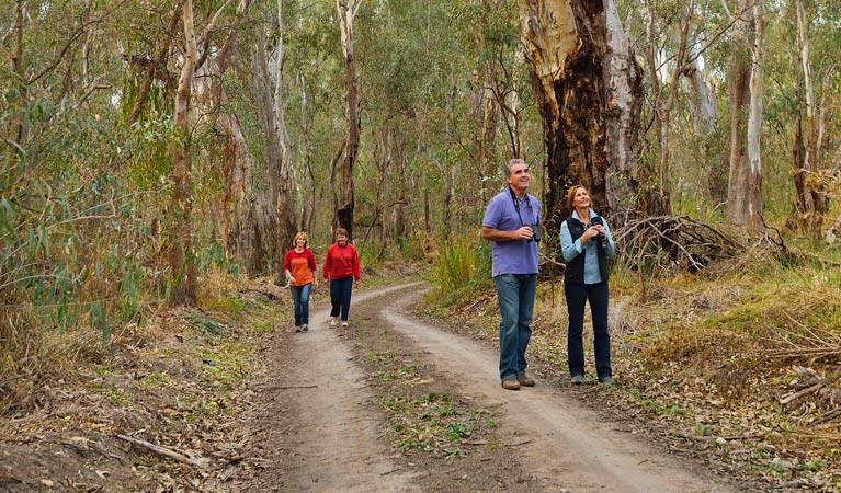 Swifts Creek campground, Murray Valley National Park. Photo: Gavin Hansford